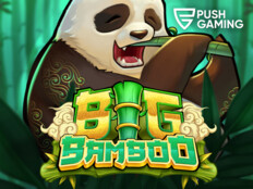 Bingo casino online. New south african online casino.68